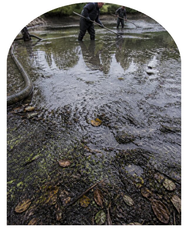 Очистка пруда в Алейске от ила мусора и водорослей с вывозом